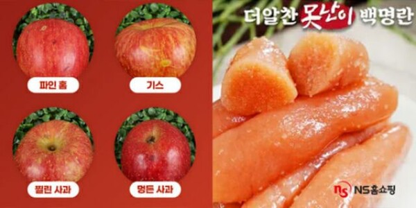 사진= NS홈쇼핑