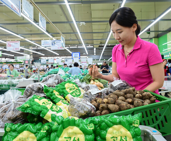 9월 11일 서울 서초구 농협 하나로마트 양재점에서 토란이 판매되고 있다. / 사진=농협유통