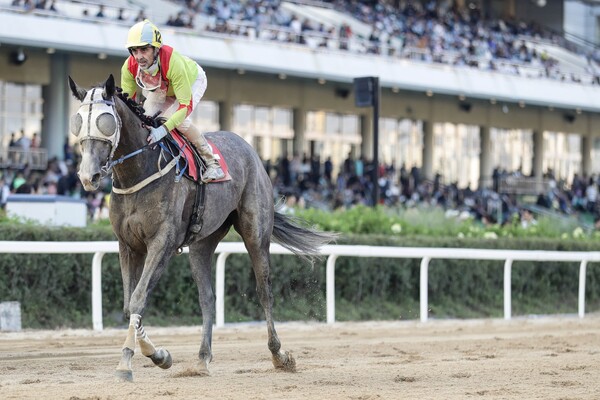 제주특별자치도지사배에서  우승을 차지한 즐거운여정.