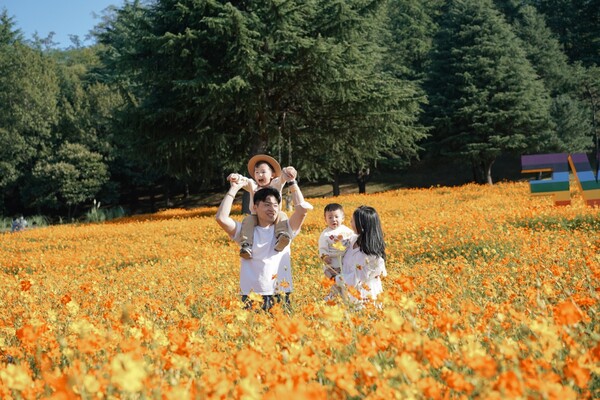 이랜드에서 운영하는 대구 테마파크 이월드가 9월 28일 코스모스 가든을 오픈한다. 사진= 이랜드