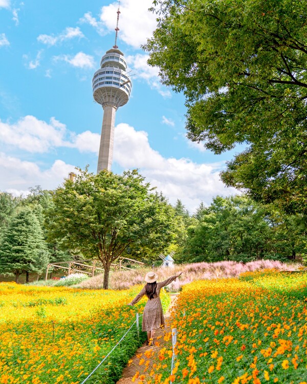 100만 송이 황화코스모스를 만나볼 수 있는 온가족 가을 휴양 공간. 사진= 이랜드