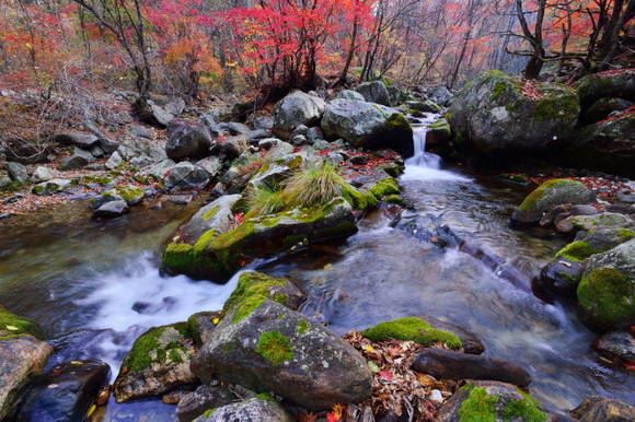 명산이 즐비한 가평에선 북면 석룡산의 조무락골과 명지산의 단풍이 특히 붉다. 사진= 조물락 계곡