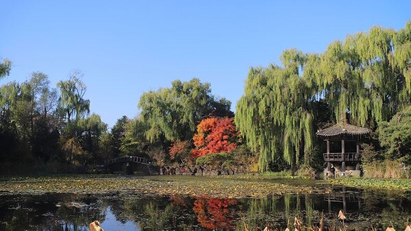 경기도 파주에 위치한 벽초지문화수목원도 멋진 단풍 명소를 자랑한다.