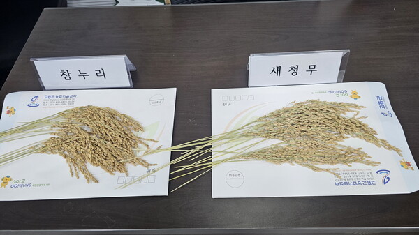 고흥군 2025년산 공공비축미 참누리와 새청무. 사진=고흥군