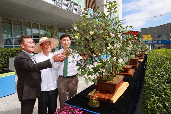 보성군은 지난 10일 보성군청 광장에서 ‘제2회 대한민국 차나무 분재 대전’을 성황리에 개최했다고 11일 밝혔다. 사진= 보성군