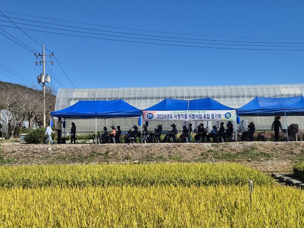 2024년 식량작물 종합평가회. 사진= 진도군