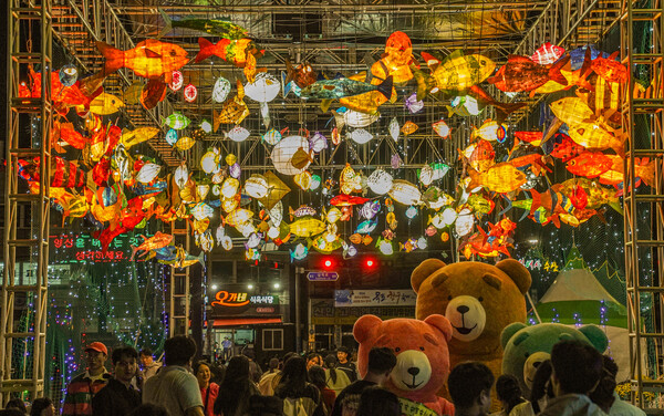 선보인 어등이 항구의 밤을 빛내고 있다. / 사진=목포시