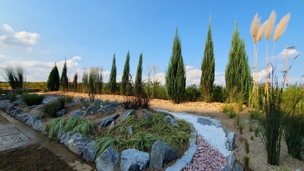 2024 충주시민과 함께하는 정원 축제 / 사진=충주시