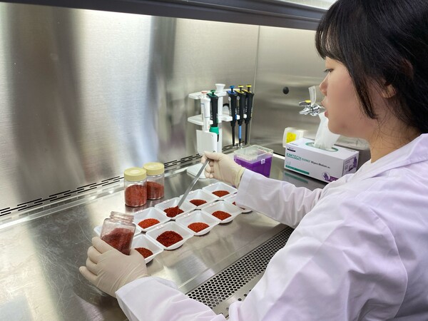 NS홈쇼핑 식품안전연구소에서 연구원이 고춧가루의 품종 검사를 실시하고 있다. 사진= NS홈쇼핑