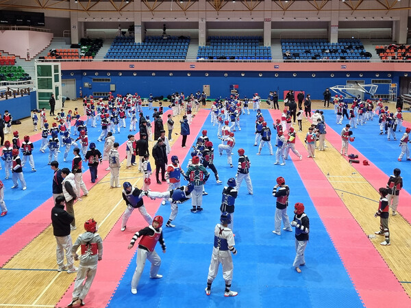 여수시, 전지훈련 유치 실적 평가 6년 연속 수상 / 사진=여수시