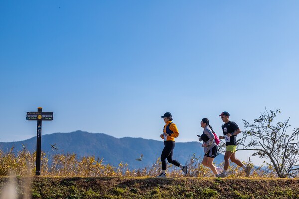 장산마을 둑길을 따라  느려도 괜찮아! 마라톤 대회 참여자들 / 사진=순천시