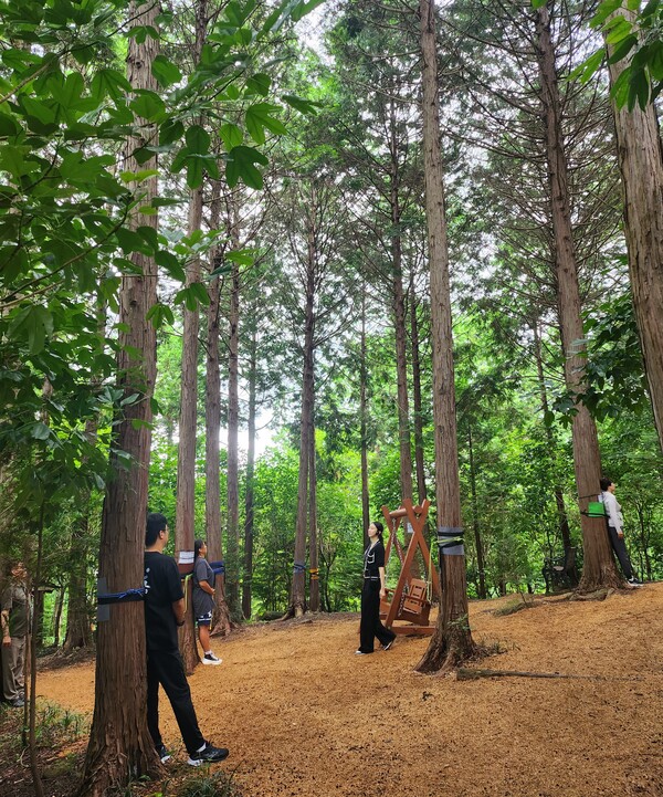 학교운동부 지도자들이 장흥 정남진편백숲우드랜드에서 ‘몸-마음-삶 회복클럽’ 프로그램에 참여하고 있다. / 사진=전라남도교육청