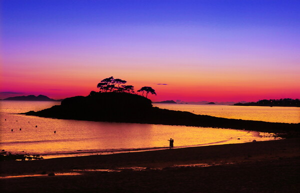 부안 솔섬 / 사진=전북특별자치도