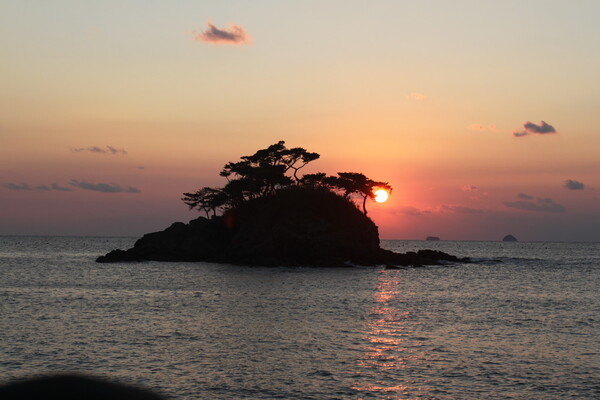 부안 솔섬 / 사진=전북특별자치도