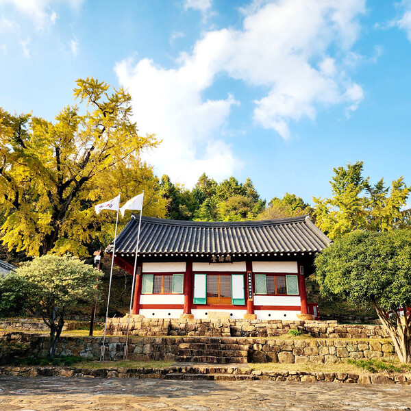 광양향교에 노랗게 물든 은행나무가 명륜당을 지키고 있다. / 사진 = 광양시 관광과