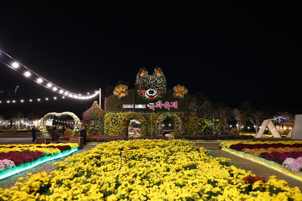 진도군, 2024 보배섬 국화축제 성황리에 막 내려 / 사진=진도군