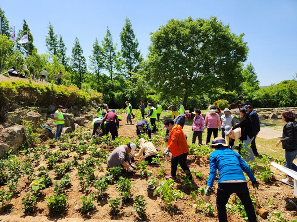 민관이 협력해 도시 숲, 참여 숲, 생활 숲 조성 적극적 실천하는 모습 / 사진 = 진도군