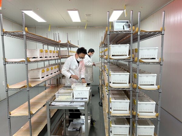 수정벌관련 / 사진 = 장수군