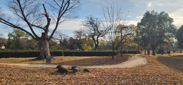 겨울철 사색하기 좋은 여행지, 고즈넉하고 유서 깊은 광양 유당공원 / 사진 = 광양시