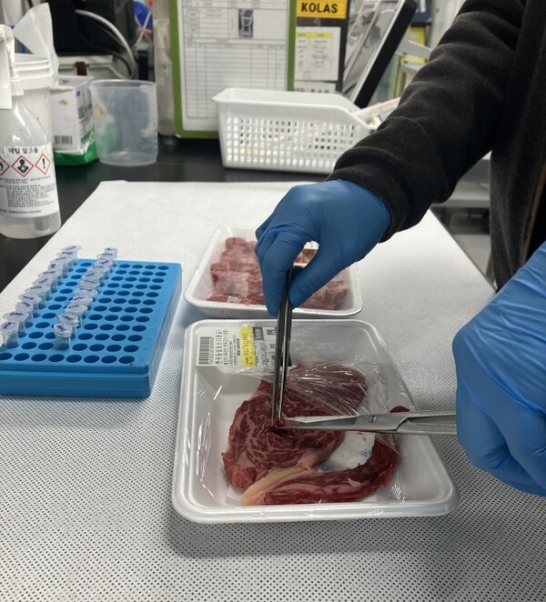 경기도는 올해 한우 DNA 검사 실시 결과 1138건 가운데 한우 둔갑 사례가 1건도 발견되지 않았다고 20일 밝혔다. / 사진 = 경기도