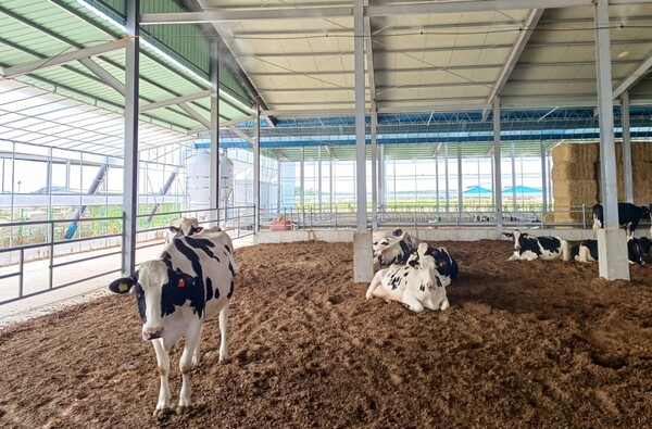경기도가 2025년도 ‘가축행복농장 인증제’에 신규 인증사진 = 경기도