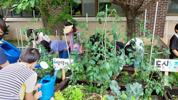 치유텃밭 / 사진 = 경기도