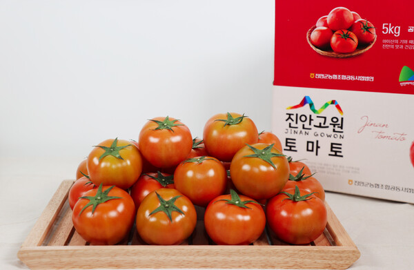 고향사랑기부제 설맞이 이벤트 진행(추첨 상품인 토마토) / 사진 = 진안군