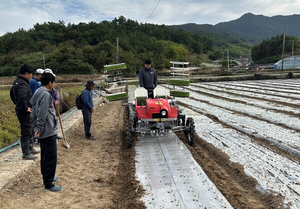 밭작물 마늘 기계 정식 / 사진 = 전라남도