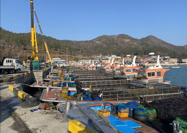 진도군, 물김 산업 활성화에 총력 지원 / 사진=진도군