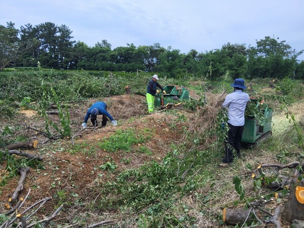 고흥군, 6월 30일까지 영농 부산물 파쇄지원단 3개 조 운영 / 사진 = 고흥군