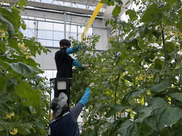 진안군 테스트베드 교육장 청년농업인에게 미래농업의 기회를 제공해 청년농업인의 안정적 정착을 돕고 있다. 사진 = 진안군