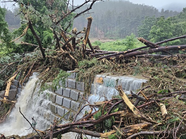 전북자치도 사방사업에 336억 투입! 조기착공으로 우기전 사업 완료 목표 / 사진=전북특별자치도