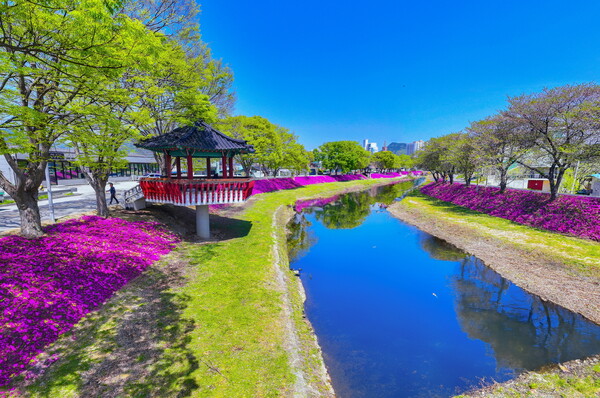 순창 참두릅여행 봄나물축제 / 사진 = 순창군