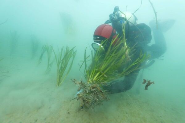 수산자원인 인공어초 조성 / 사진 = 전라남도