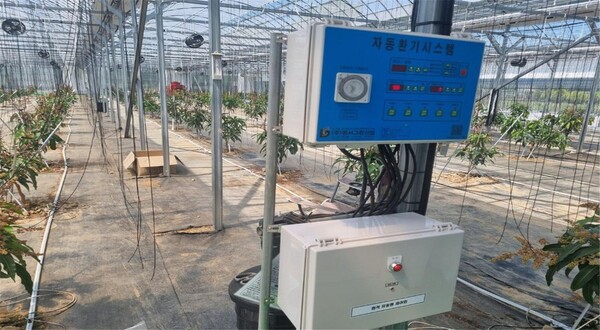 아열대 과수농장 / 사진 = 고흥군