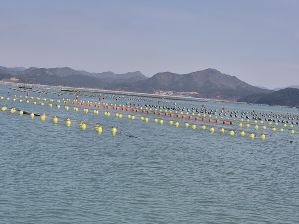 인증 부표-해남 해역 / 사진 = 전라남도