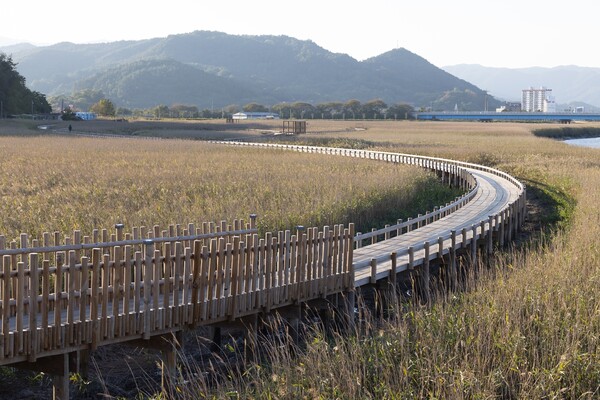 보성 벌교 갯벌탐방로, 자연과 함께 걷는 특별한 길_보성 벌교 갯벌탐방로 전경 / 사진=보성군