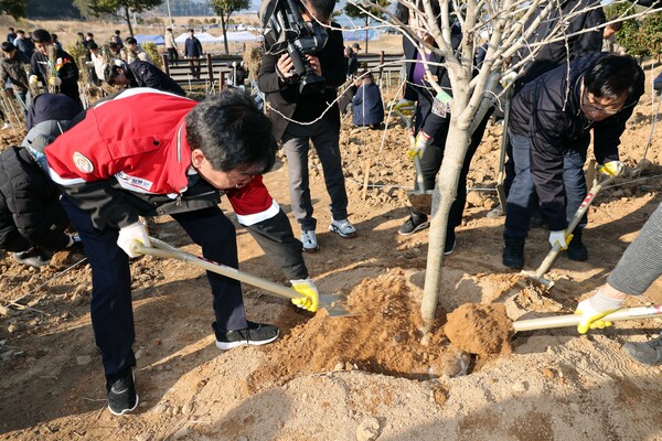 통일 무궁화 심기 / 사진 = 장흥군