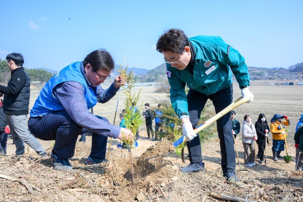 20일 별량면 쌍림리 일원에서 열린 제80회 식목일 나무심기 행사에서 노관규 순천시장이 나무를 심고 있다 / 사진=순천시