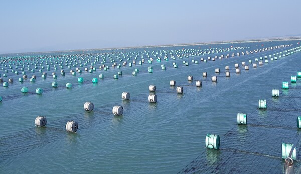 어업인 수산업 동반성장- 완도 청산면 김 양식장 / 사진 = 전라남