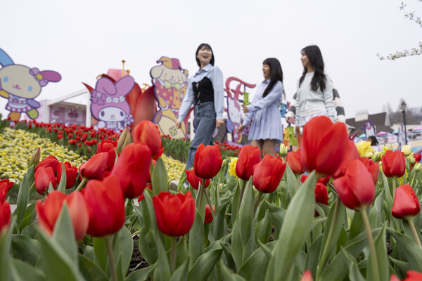 에버랜드 튤립 테마정원에 산리오 캐릭터들이 전시 돼 있다. 사진=에버랜드