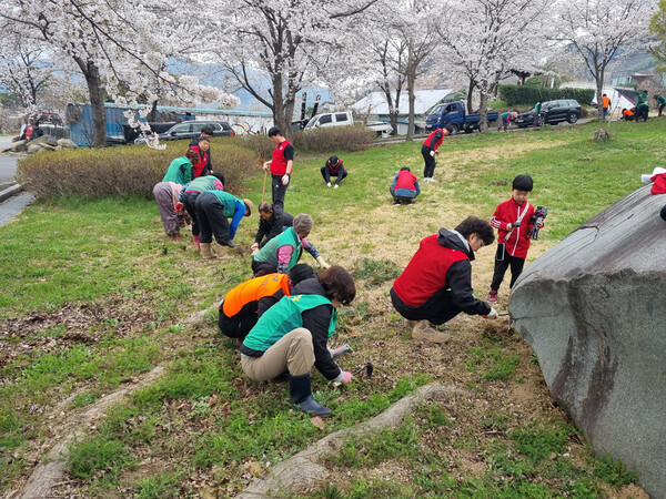 광양시 진상면, 백학공원 꽃 식재 행사 현장 모습 / 사진 = 광양시