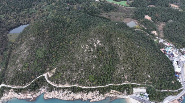 산림청 주관 섬 숲 경관 복원 사업 선정(사진은 사업 대상지인 신지 신리지구 전경) / 사진 = 완도군