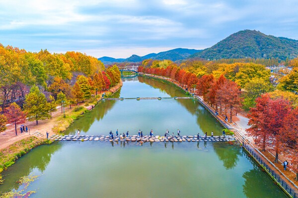 관방제림 / 사진=담양군