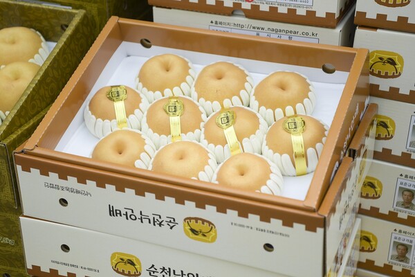 순천 낙안배 / 사진 = 순천시