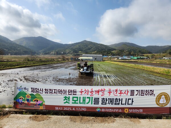 웅치면 대산리 박순선 농가에서 2025년산 웅치 올벼쌀 생산을 위한 첫 모내기를 시작했다 / 사진 = 보성군