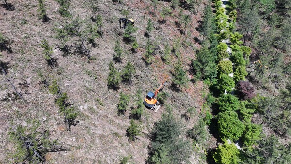사진은 완도군 고금면 청용리에서 조림지 정리 작업을 하는 모습 / 사진 = 완도군