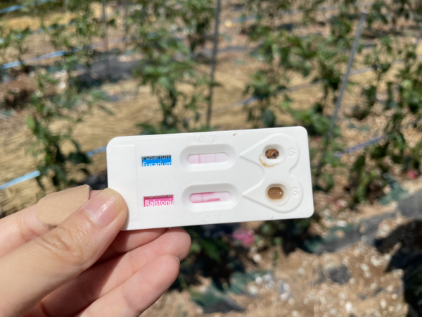 병해충 진단키트) / 사진 = 해남군