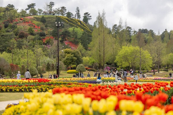 순천만국가정원 봄 / 사진 = 순천시