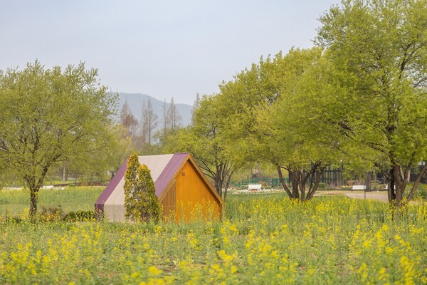 유채꽃밭 워케이션 / 사진 = 순천시